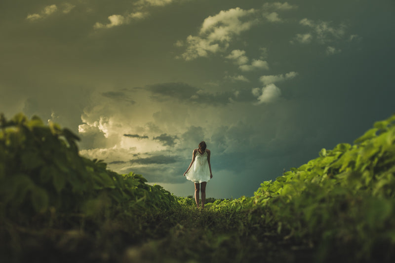 Revocable Vs Irrevocable Trusts Blog