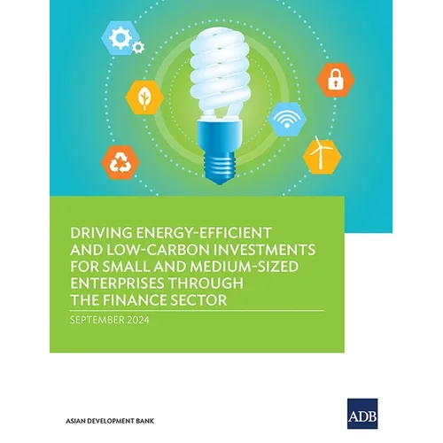 Driving Energy-Efficient and Low-Carbon Investments for Small and Medium-Sized Enterprises through the Finance Sector
